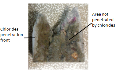 Example of the chlorides penetration front in the fractured simple