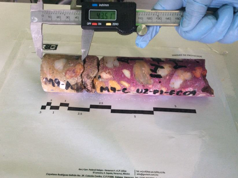 Depth of carbonation in U2-P1-P04. Note depth
of damage and cracks parallel to the surface.