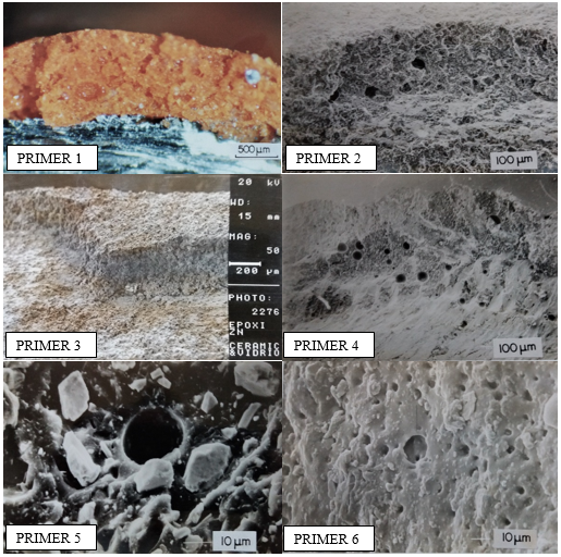 Microphotographs obtained by optical microscopy and scanning
electron microscopy (SEM).